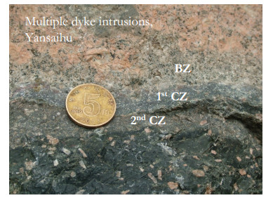 BG - Deciphering the origin of dubiofossils from the Pennsylvanian of the  Paraná Basin, Brazil